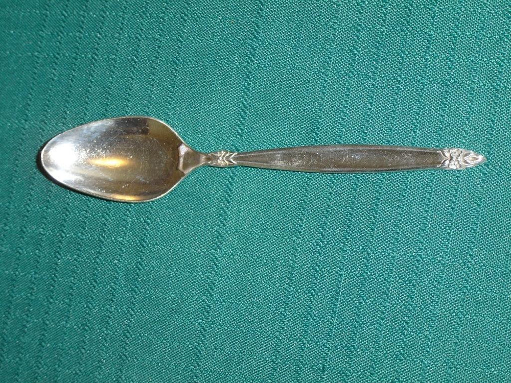 1847 Rogers Bros Garland (1965) teaspoon