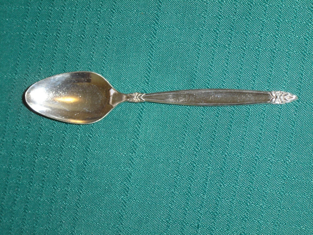 1847 Rogers Bros Garland (1965) teaspoon VGU