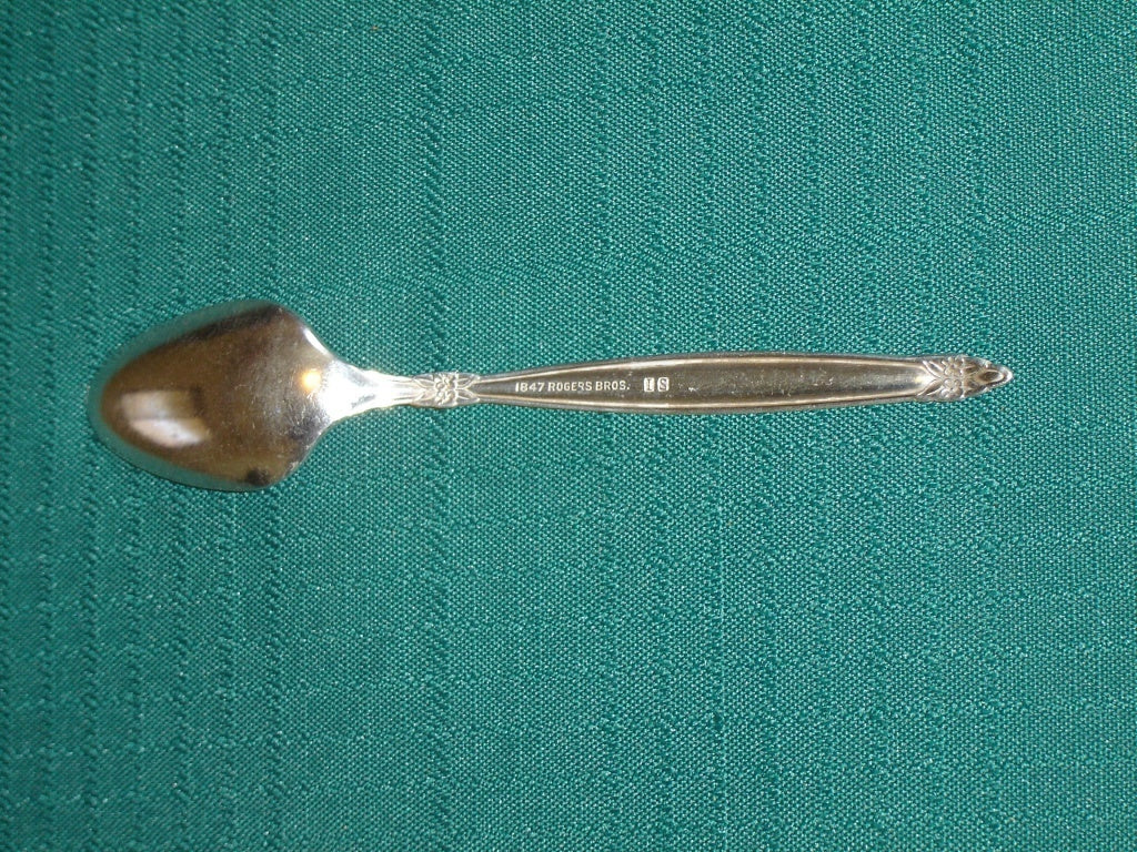1847 Rogers Bros Garland (1965) teaspoon VGU