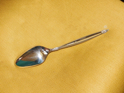 1847 Rogers Bros. Garland (1965) tablespoon (serving spoon) VGU