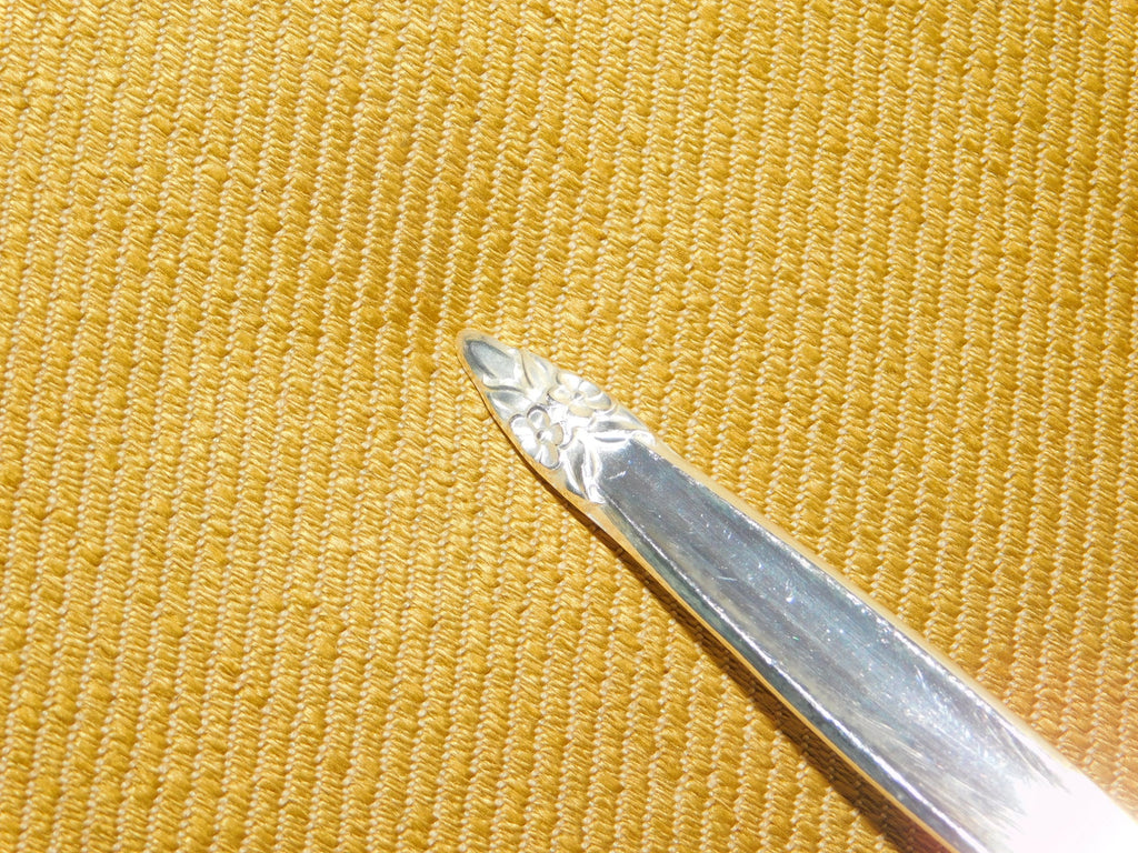 1847 Rogers Bros. Garland (1965) place oval soup spoon VGU