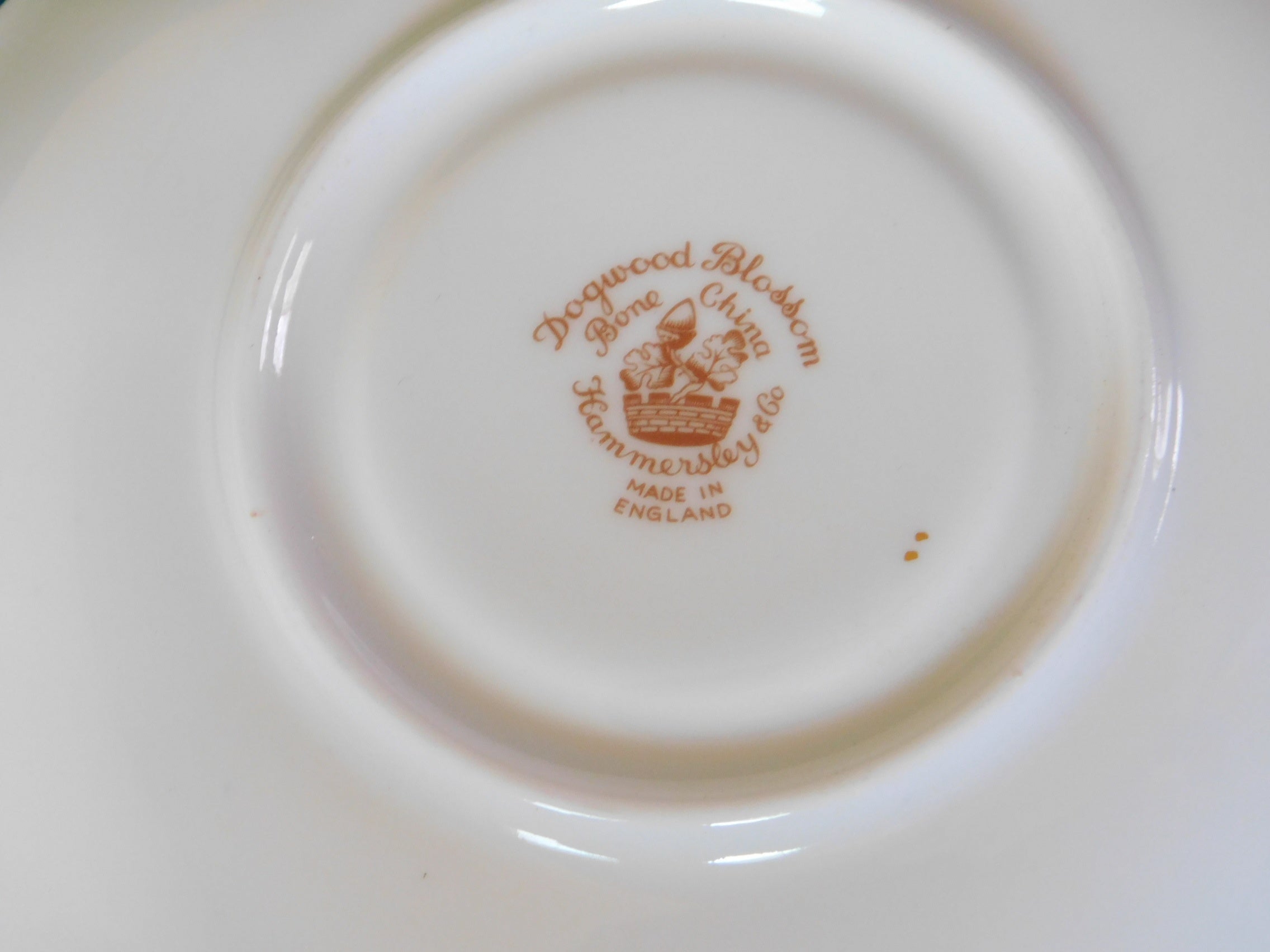 Hammersley Dogflower Blossom (Gold Foot) saucer near mint condition