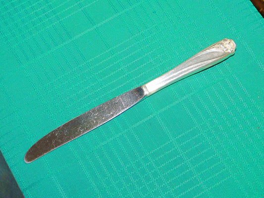 1847 Rogers Bros. Daffodil (1950) modern hollow grille knife VGU