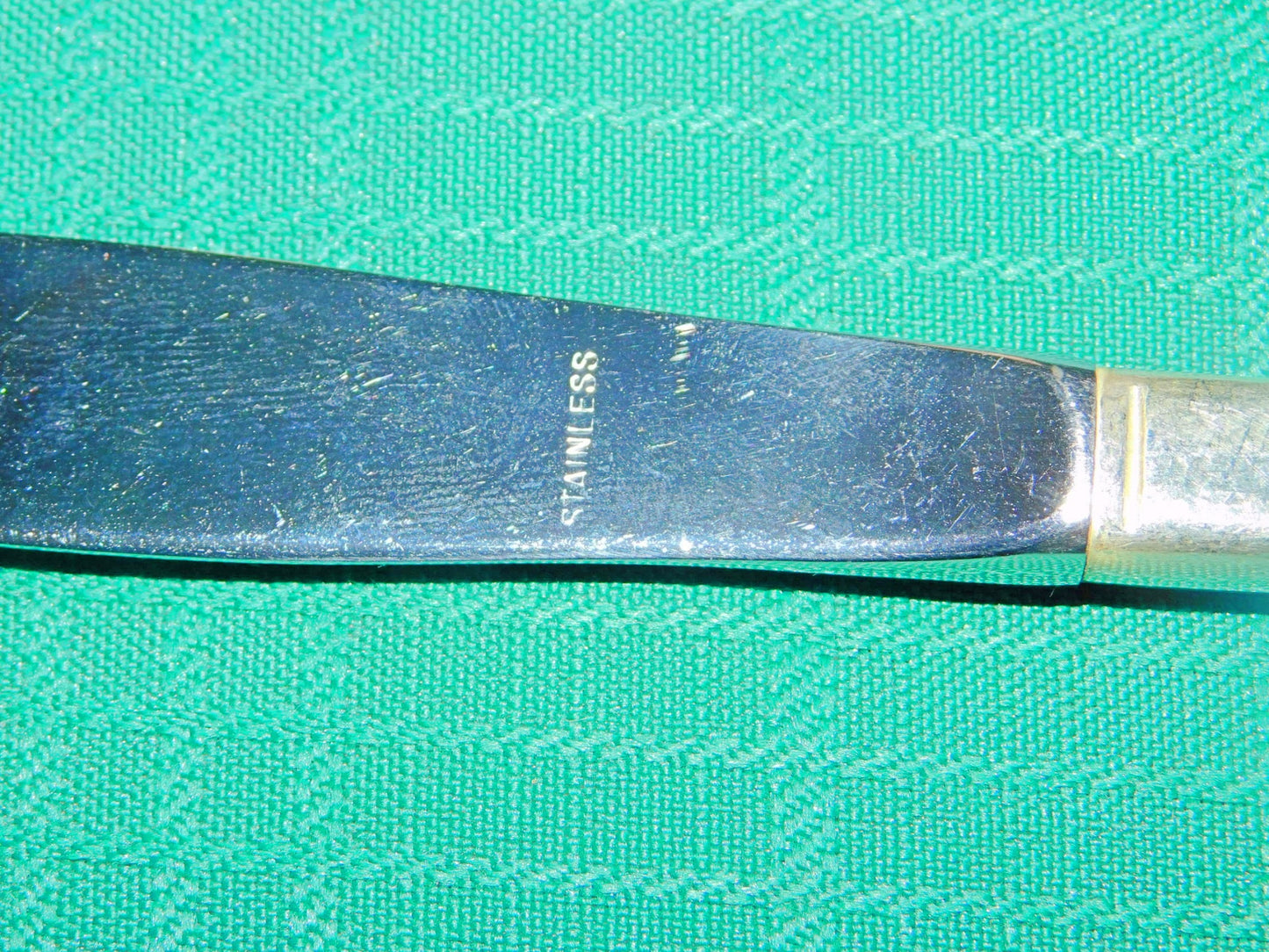 1847 Rogers Bros. Daffodil (1950) modern hollow grille knife VGU