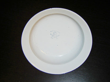 Vintage retro Graniteware 9 1/2 inch soup bowl GUC