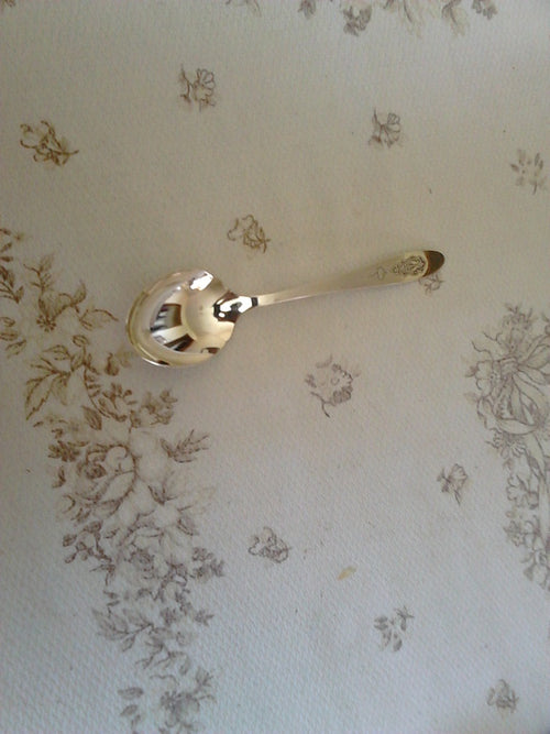 Community Plate Bird of Paradise (1923) Silverplate Flatware