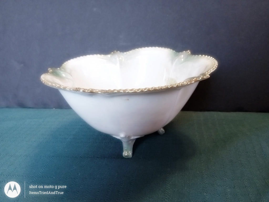 RS Prussia Hand‑Painted Rose Bowl – Antique German Porcelain Footed Dish with Scalloped Rim
