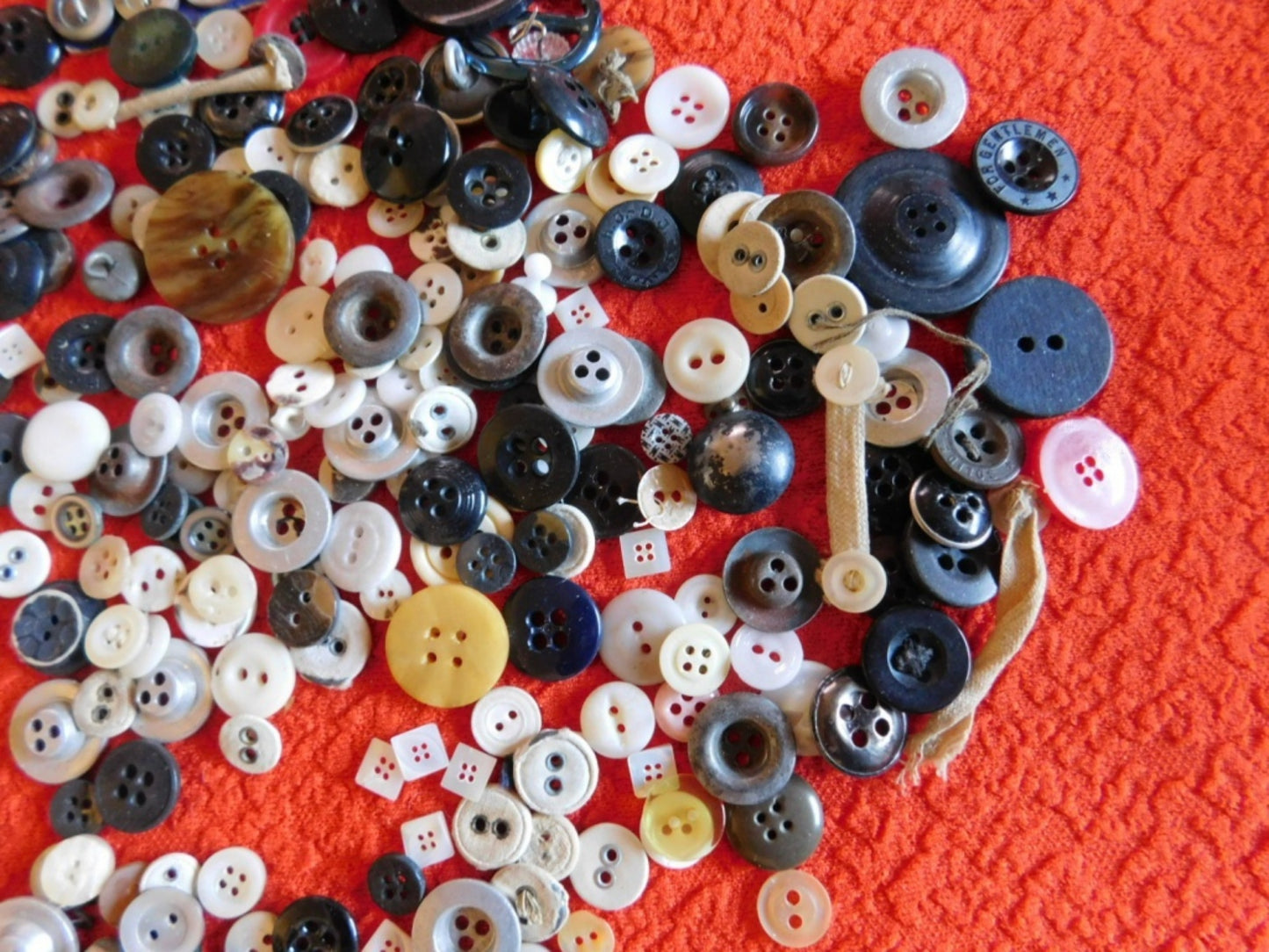 Vintage quarter pound mixed lot of over 260 buttons