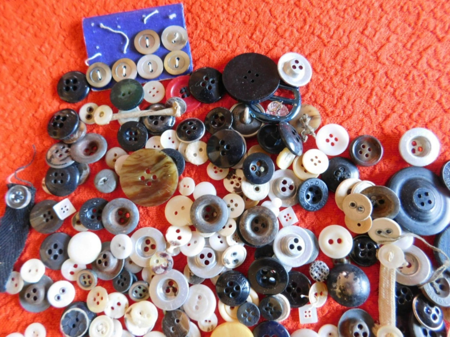 Vintage quarter pound mixed lot of over 260 buttons