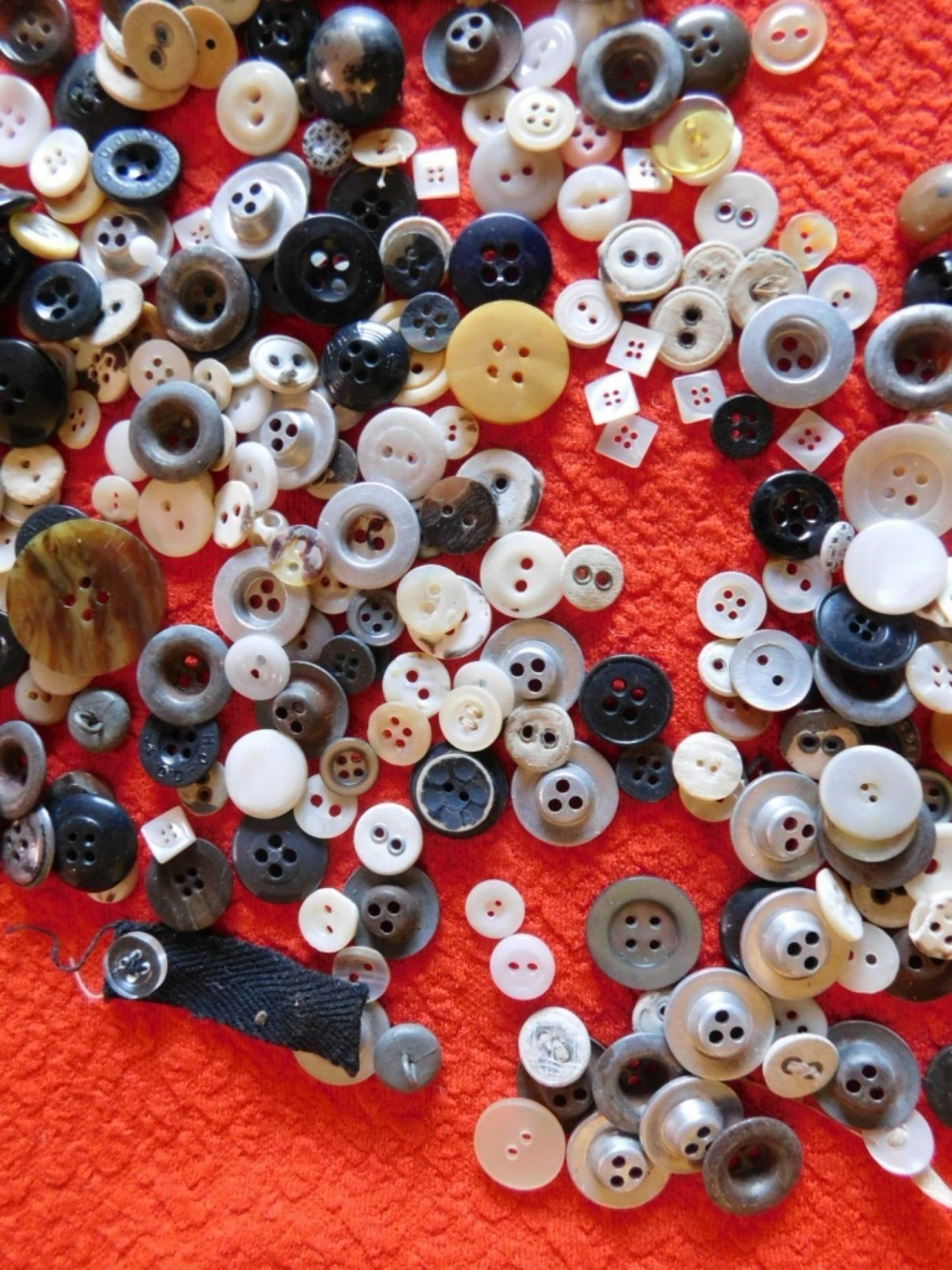 Vintage quarter pound mixed lot of over 260 buttons