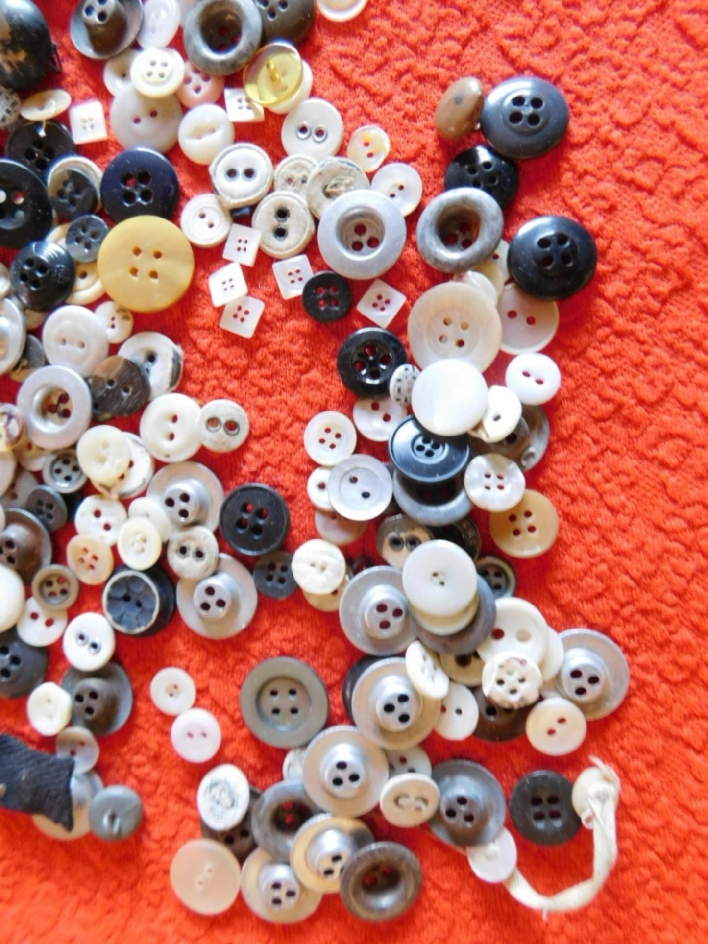 Vintage quarter pound mixed lot of over 260 buttons