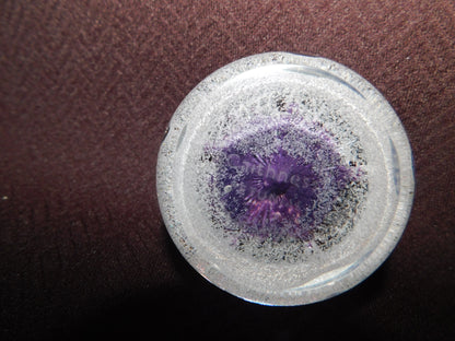 Caithness Scotland Petunias paperweight mint condition