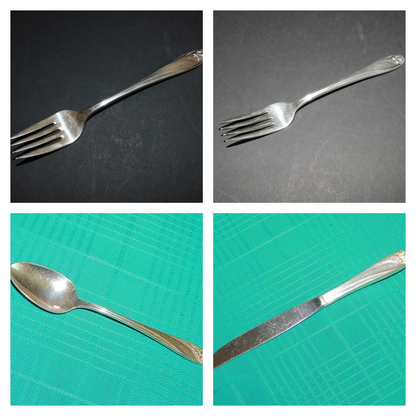 1847 Rogers Bros. Daffodil (1950) Silverplate Flatware 1847 Rogers Bros