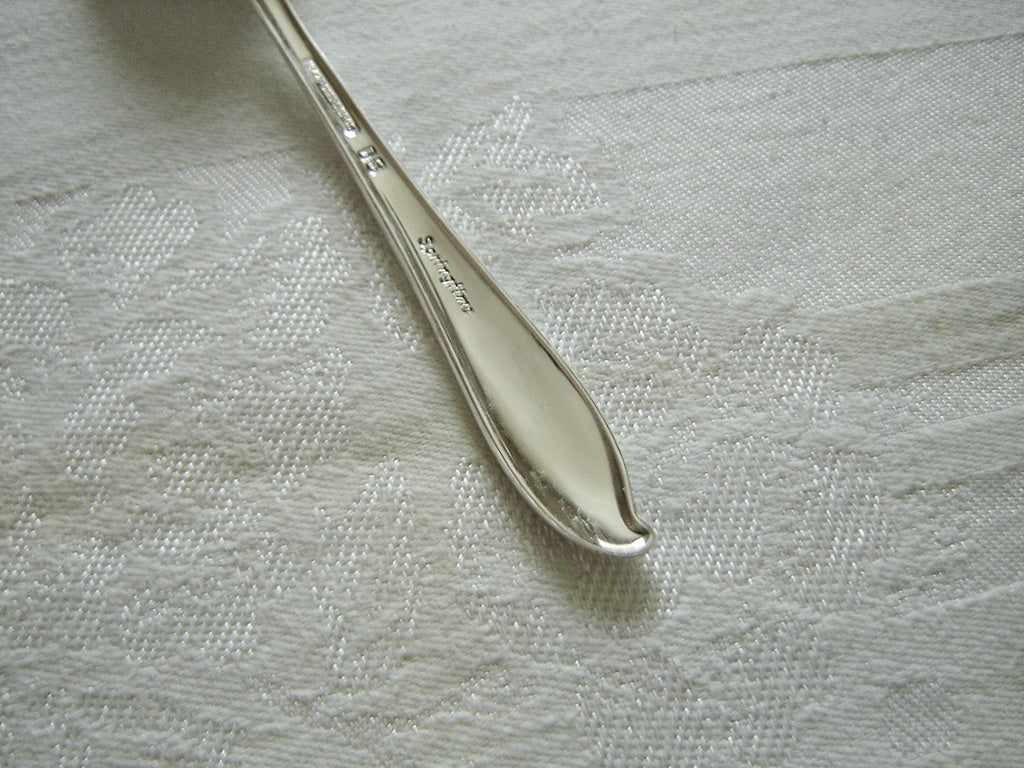 1847 Rogers Bros. Springtime (1957) place oval soup spoon VGU