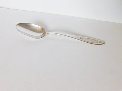 Community Plate Adam (1917) tablespoon (serving spoon)