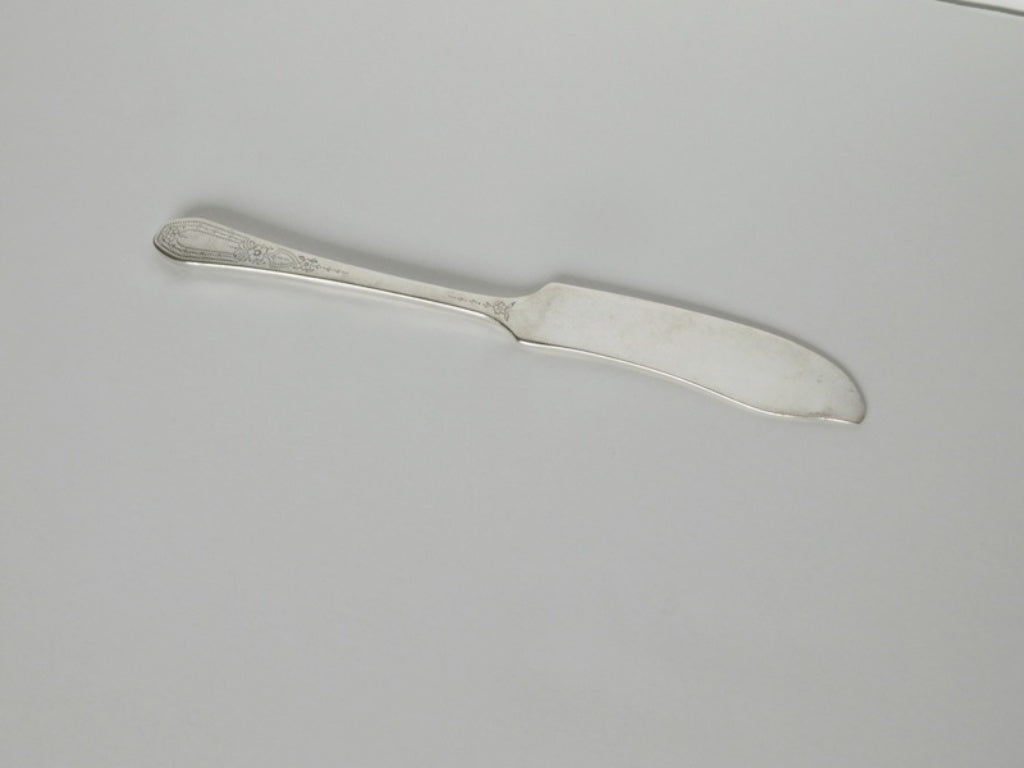 Community Plate Paul Revere (1927) flat handle butter spreader GUC