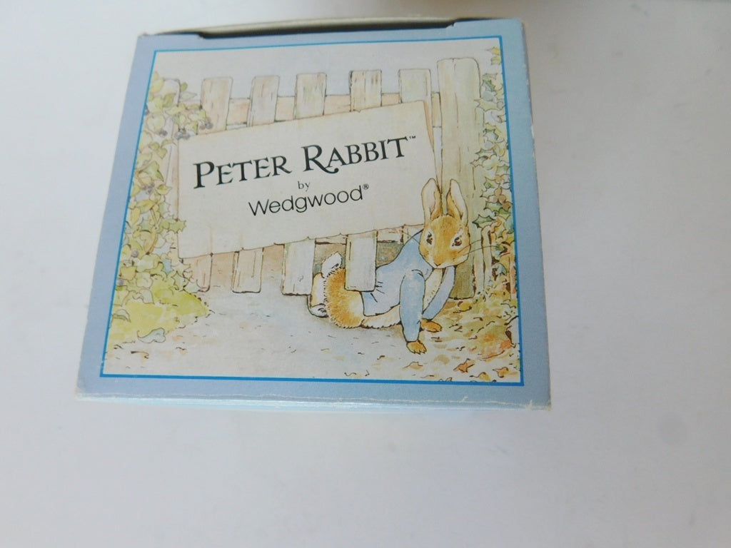 Wedgwood Peter Rabbit Christening (1992) savings bank hexagonal NIB - Items Tried And True