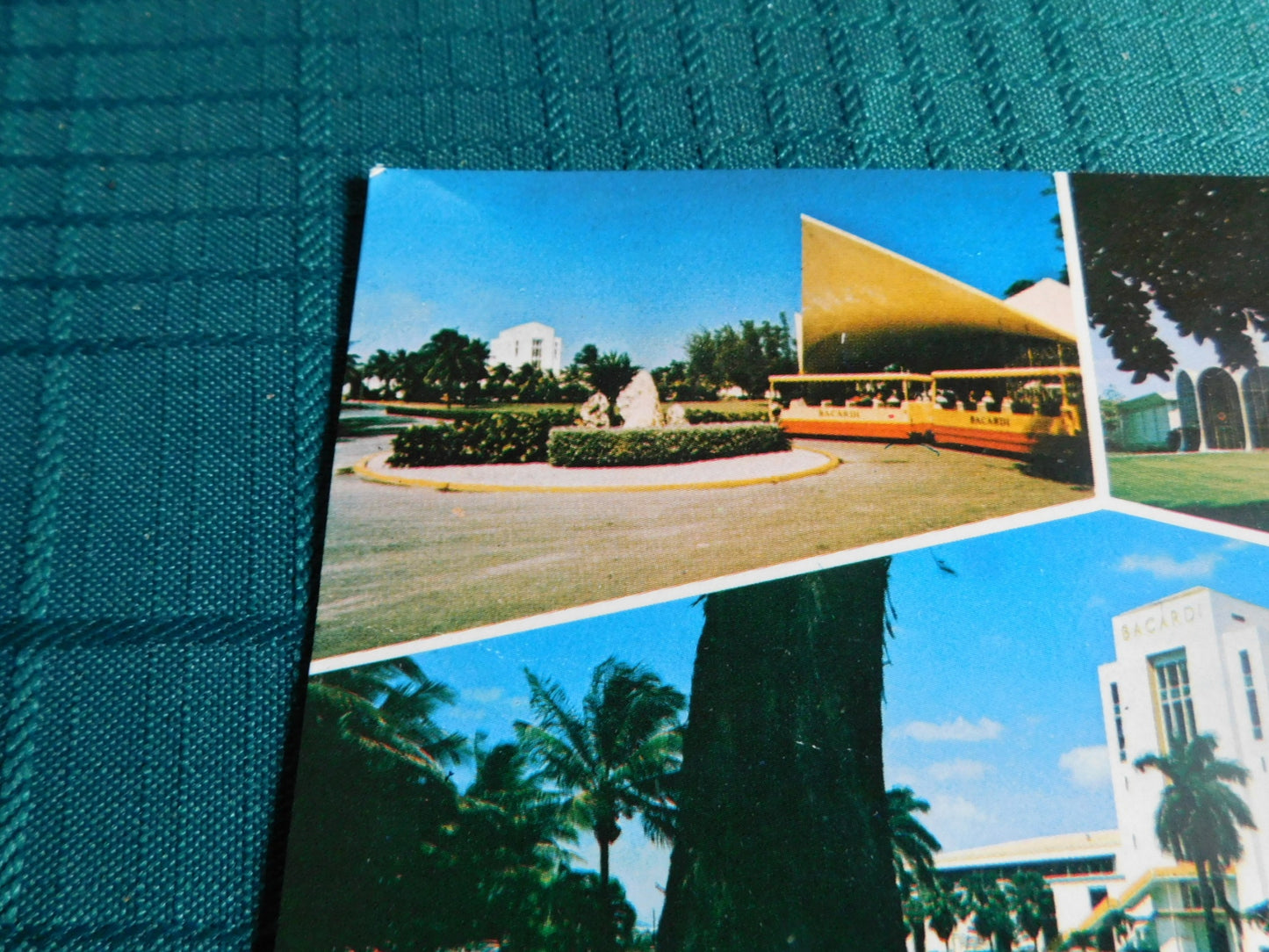 Vintage Bacardi Puerto Rico site postcard