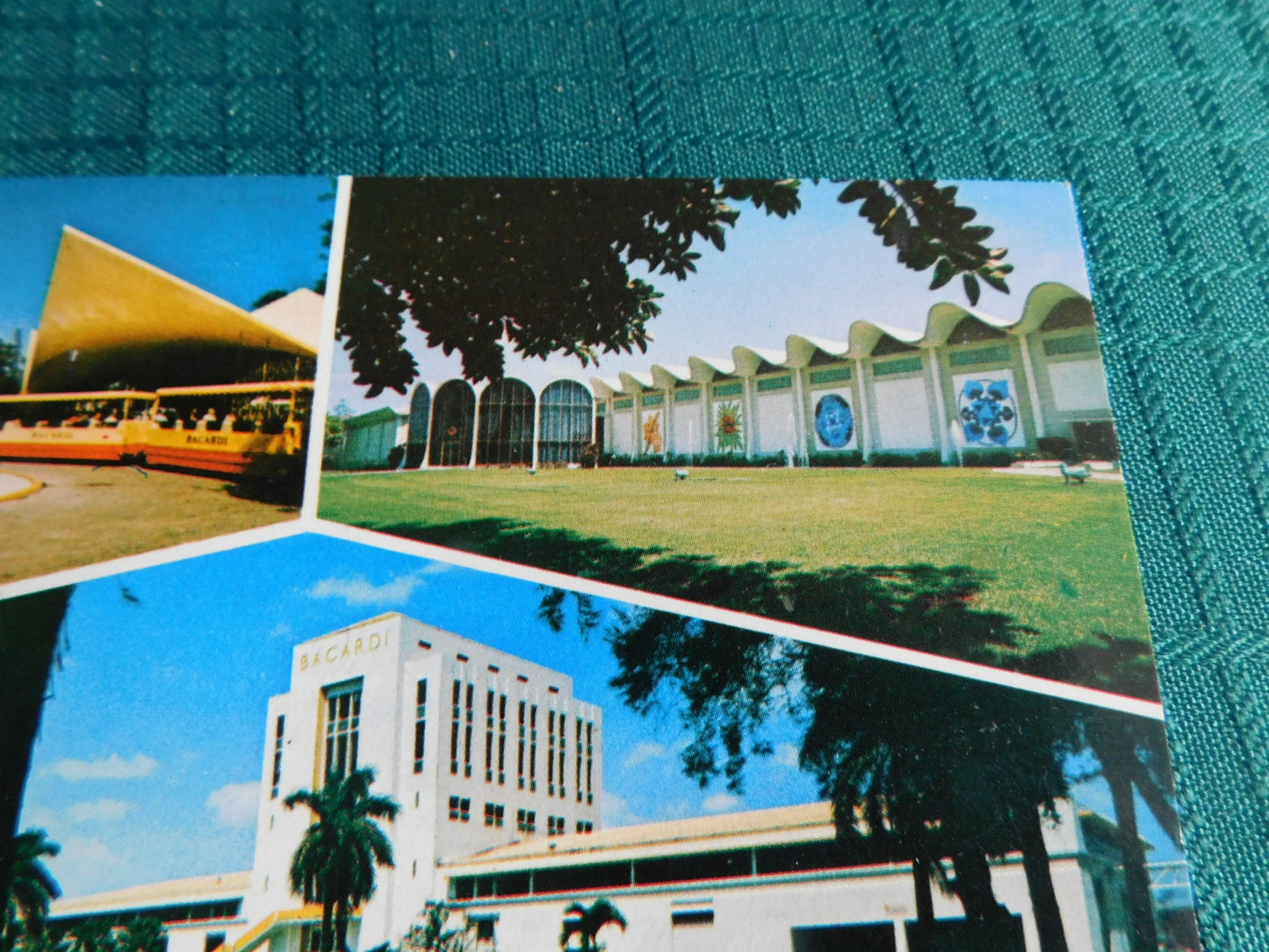 Vintage Bacardi Puerto Rico site postcard