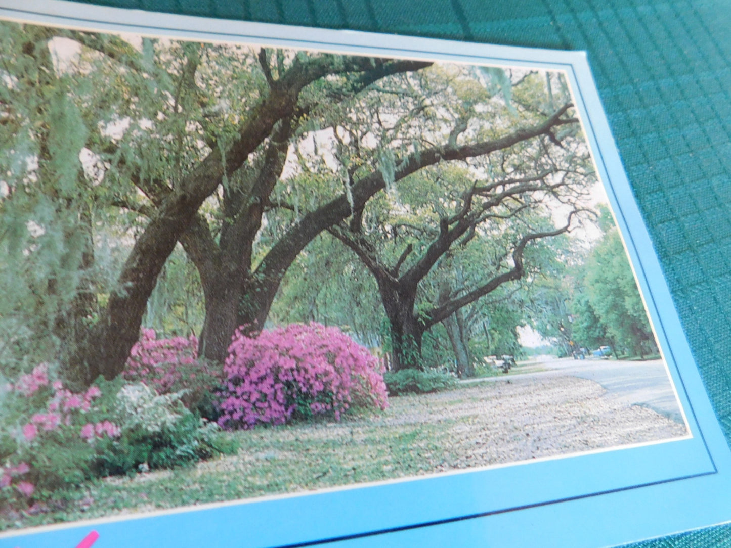 Vintage Florida roadways (1992) scenic postcard