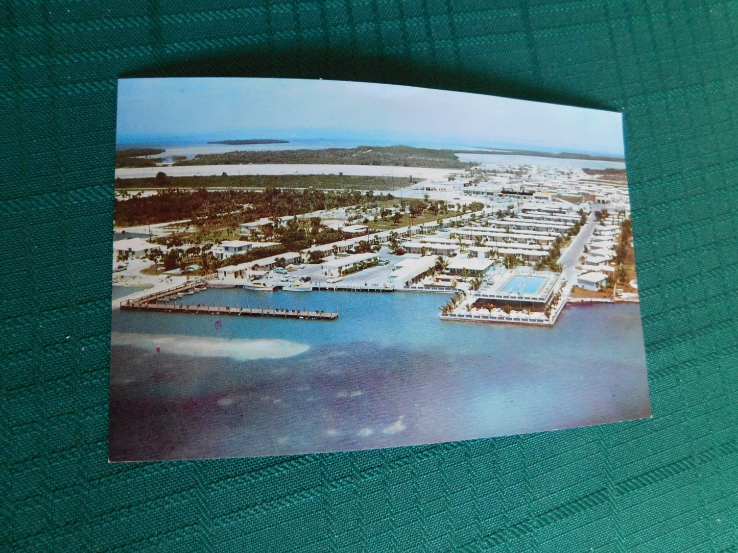 Vintage Salty Dog (1969) scenic postcard