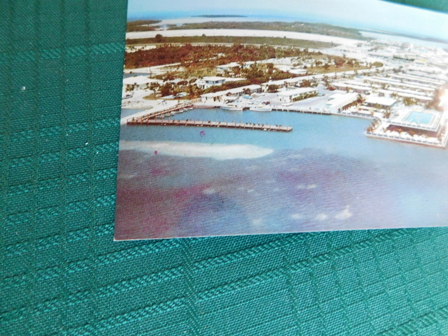 Vintage Salty Dog (1969) scenic postcard