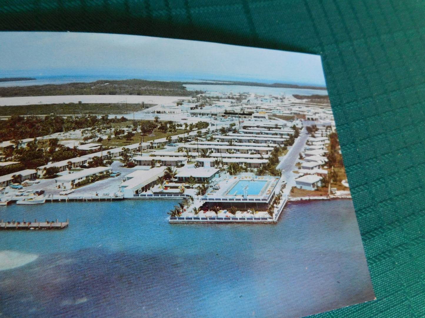 Vintage Salty Dog (1969) scenic postcard