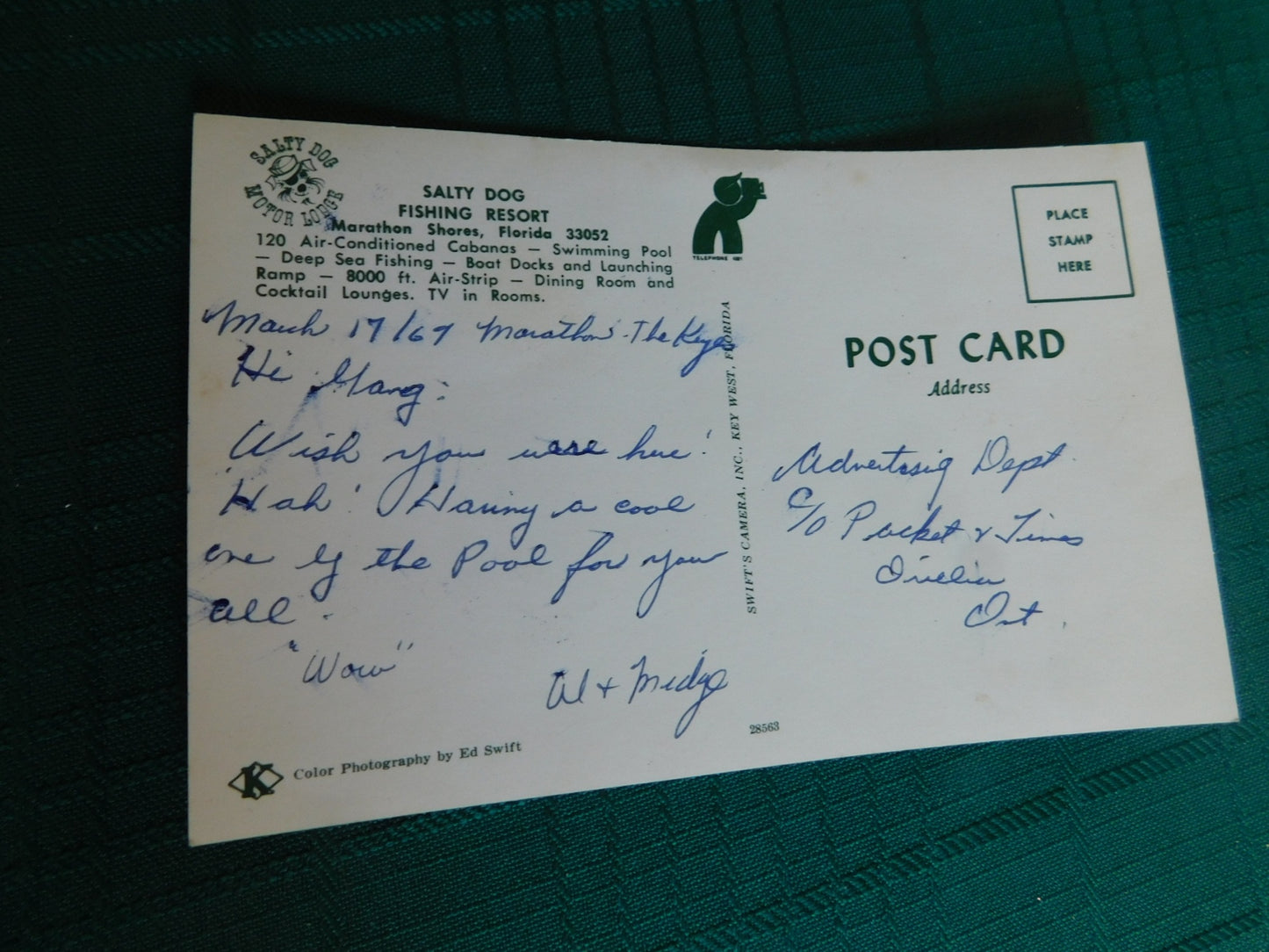 Vintage Salty Dog (1969) scenic postcard