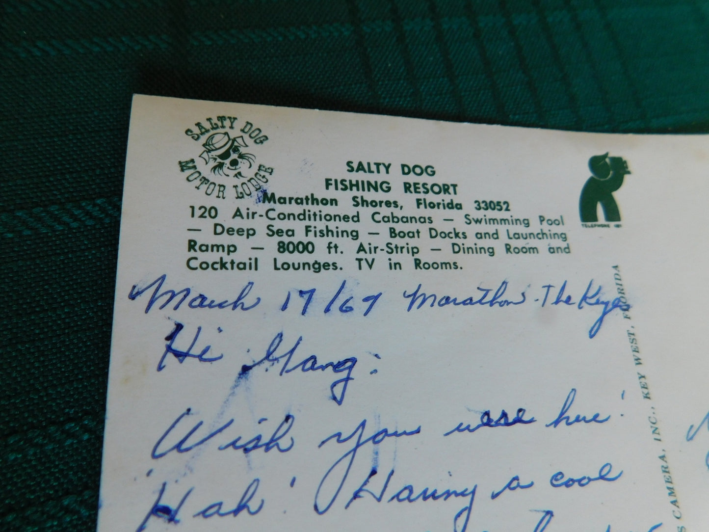 Vintage Salty Dog (1969) scenic postcard