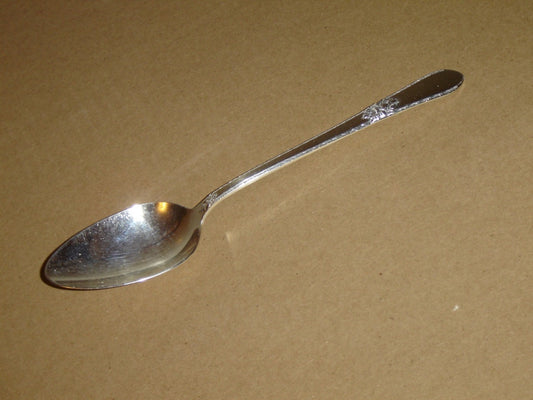 1847 Rogers Bros. Adoration (1930) tablespoon (serving spoon) VGU