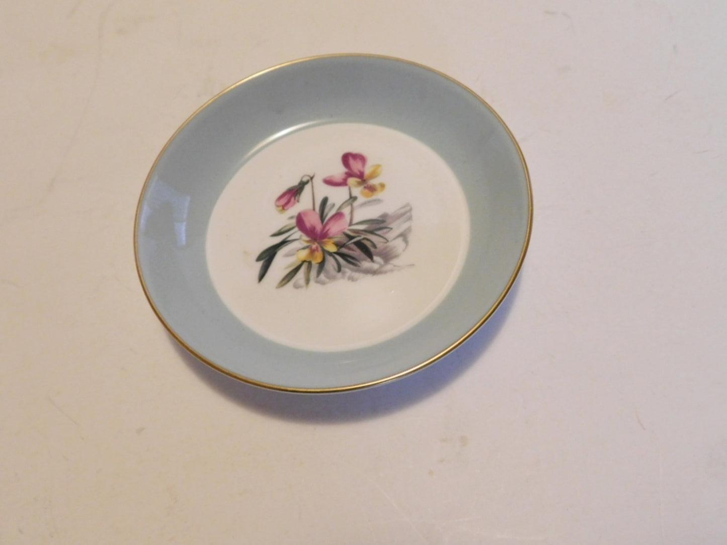 Royal Worcester Alpine Flowers gray band coaster NMC - Items Tried And True