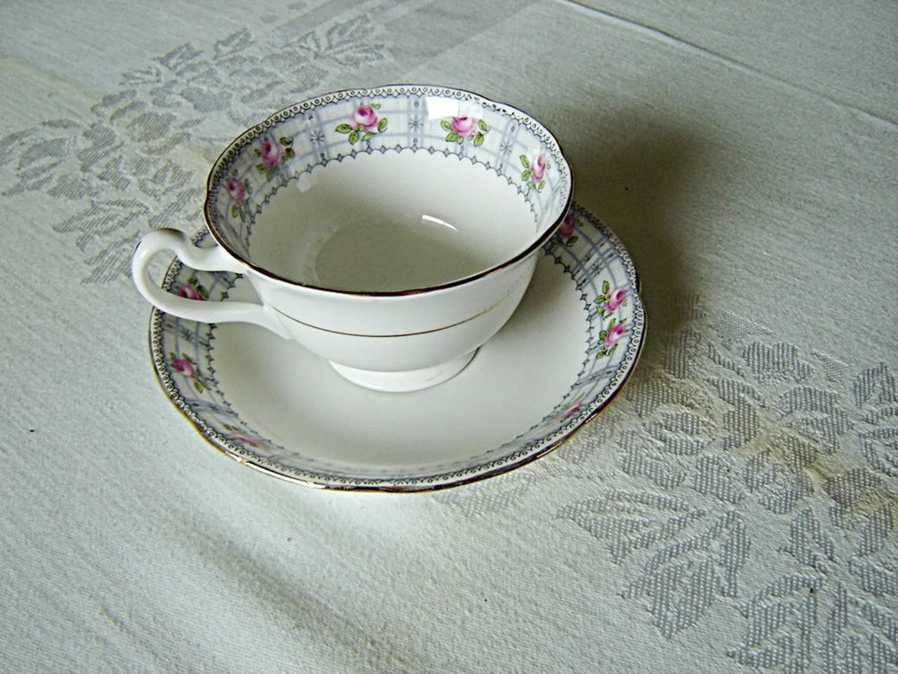 Rosina pink Rose dot border cup and saucer