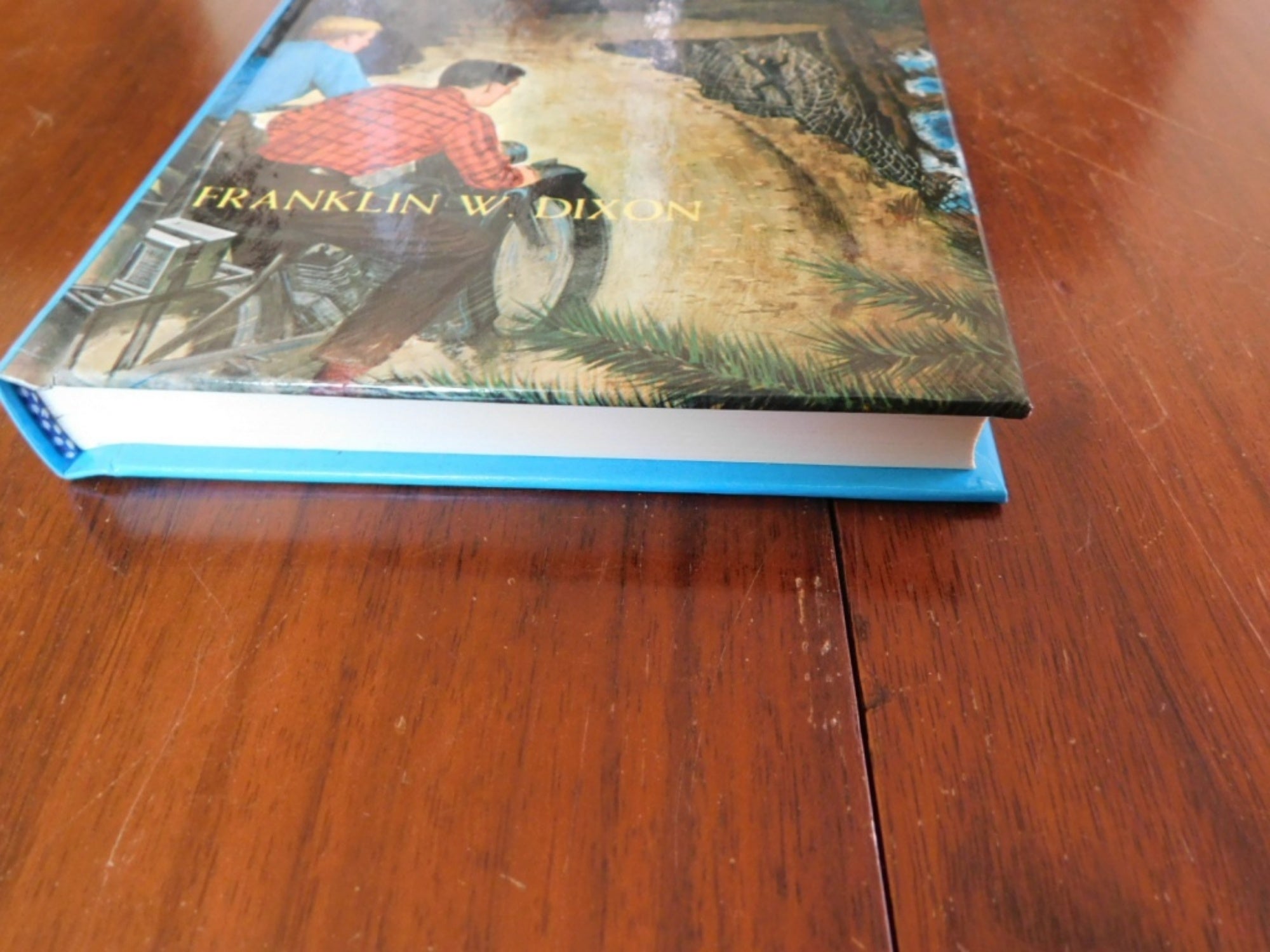 Hardy Boys hardcover book Shore Road Mystery Flashlight Edition No 6 (1991) NMC