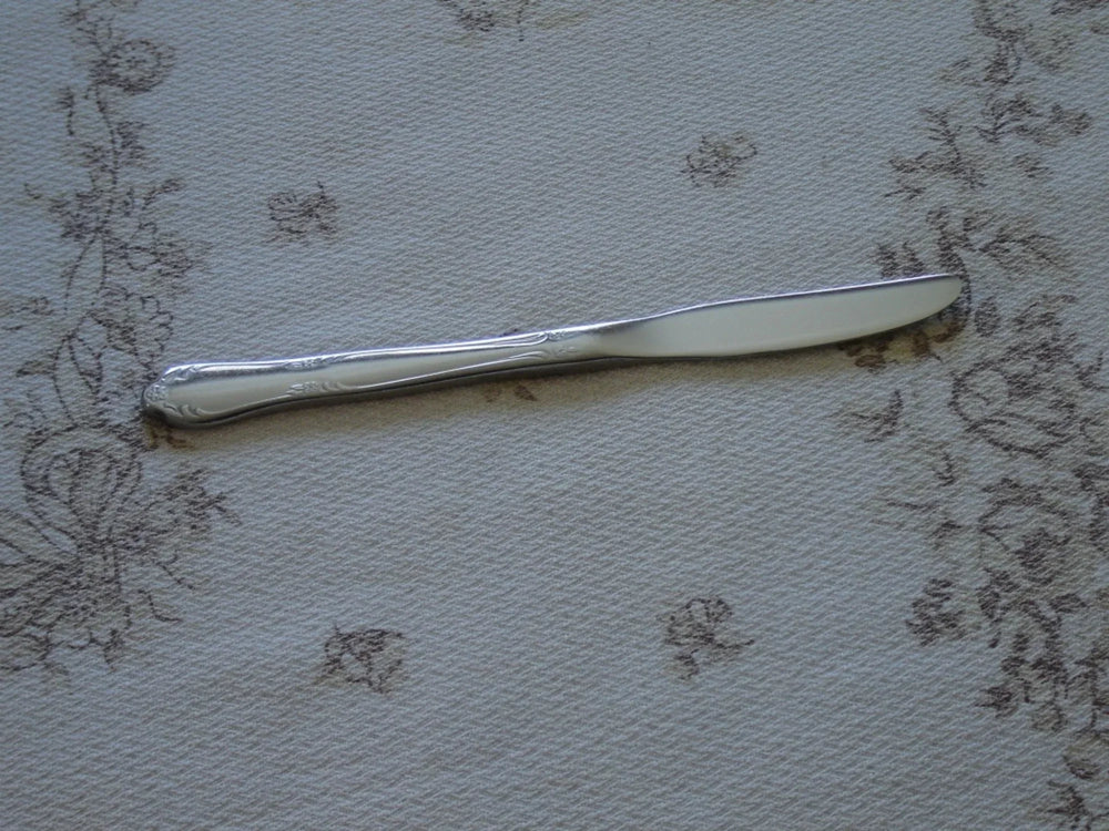 Oneidacraft Chateau (1961) stainless steel youth knife solid piece