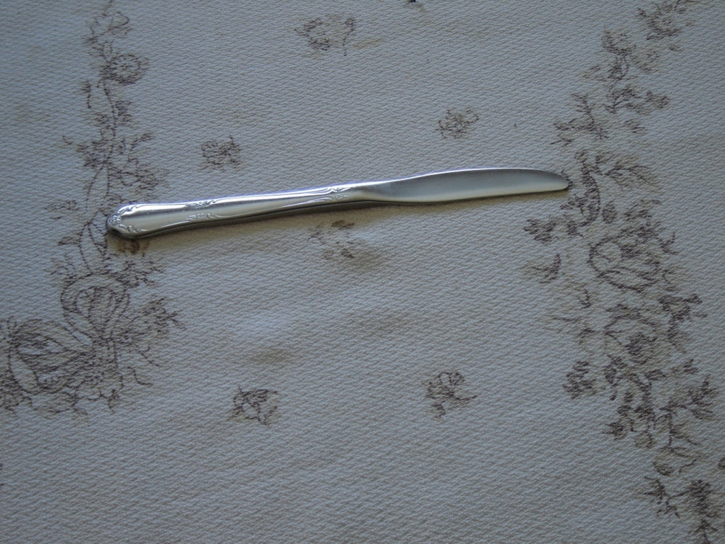 Oneidacraft Chateau (1961) stainless steel youth knife solid piece VGU