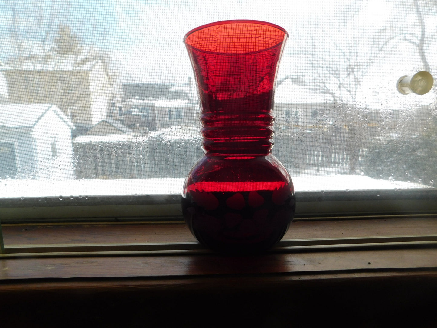 Ruby vase etched flower ribbed VGU