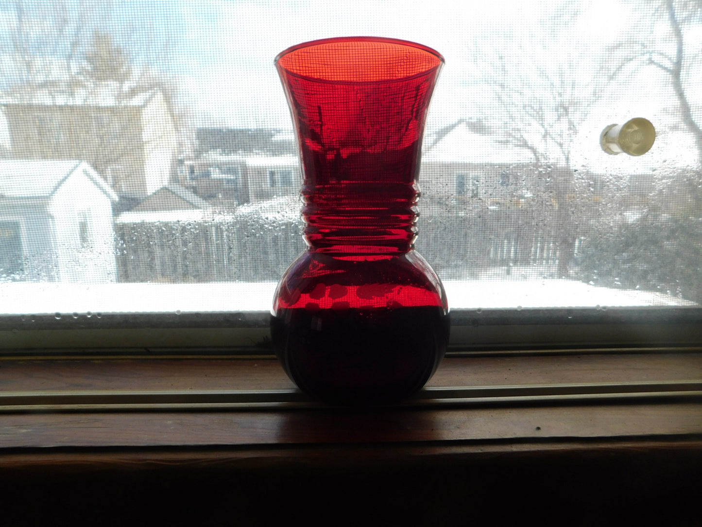 Ruby vase etched flower ribbed VGU