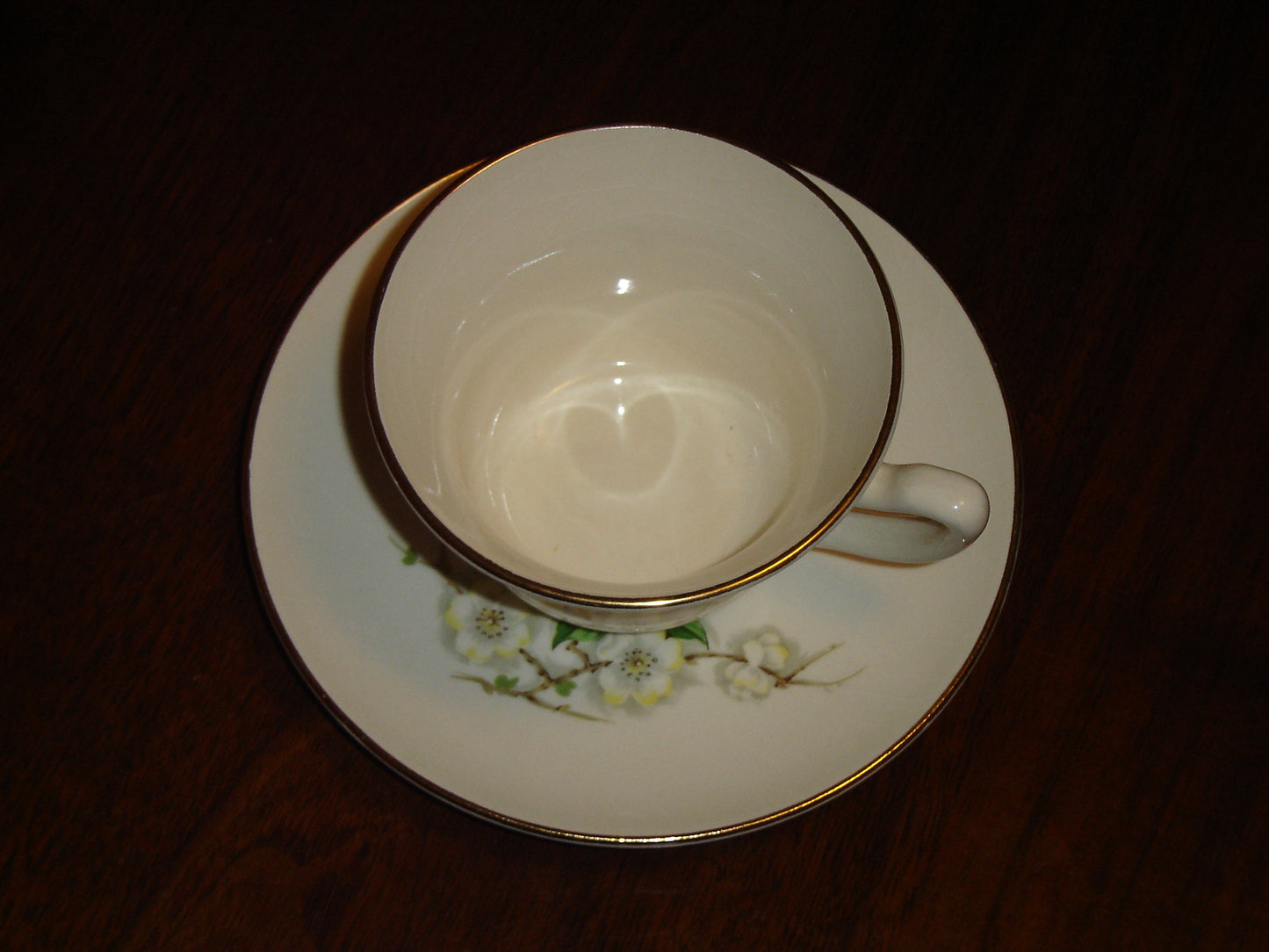 Georgian Studio white flower cup and saucer VGU - Items Tried And True