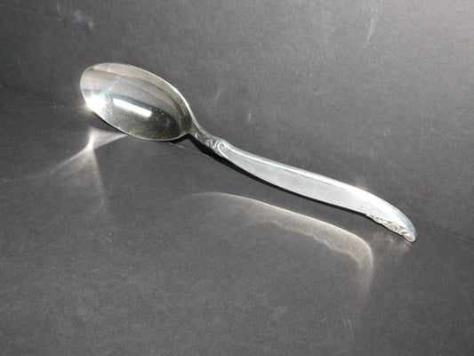 1847 Rogers Bros. Leilani (1961) tablespoon (serving spoon) VGU - Items Tried And True