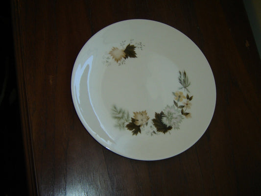 Royal Doulton Westwood (TC1025 1966) dinner plate near mint condition - Items Tried And True