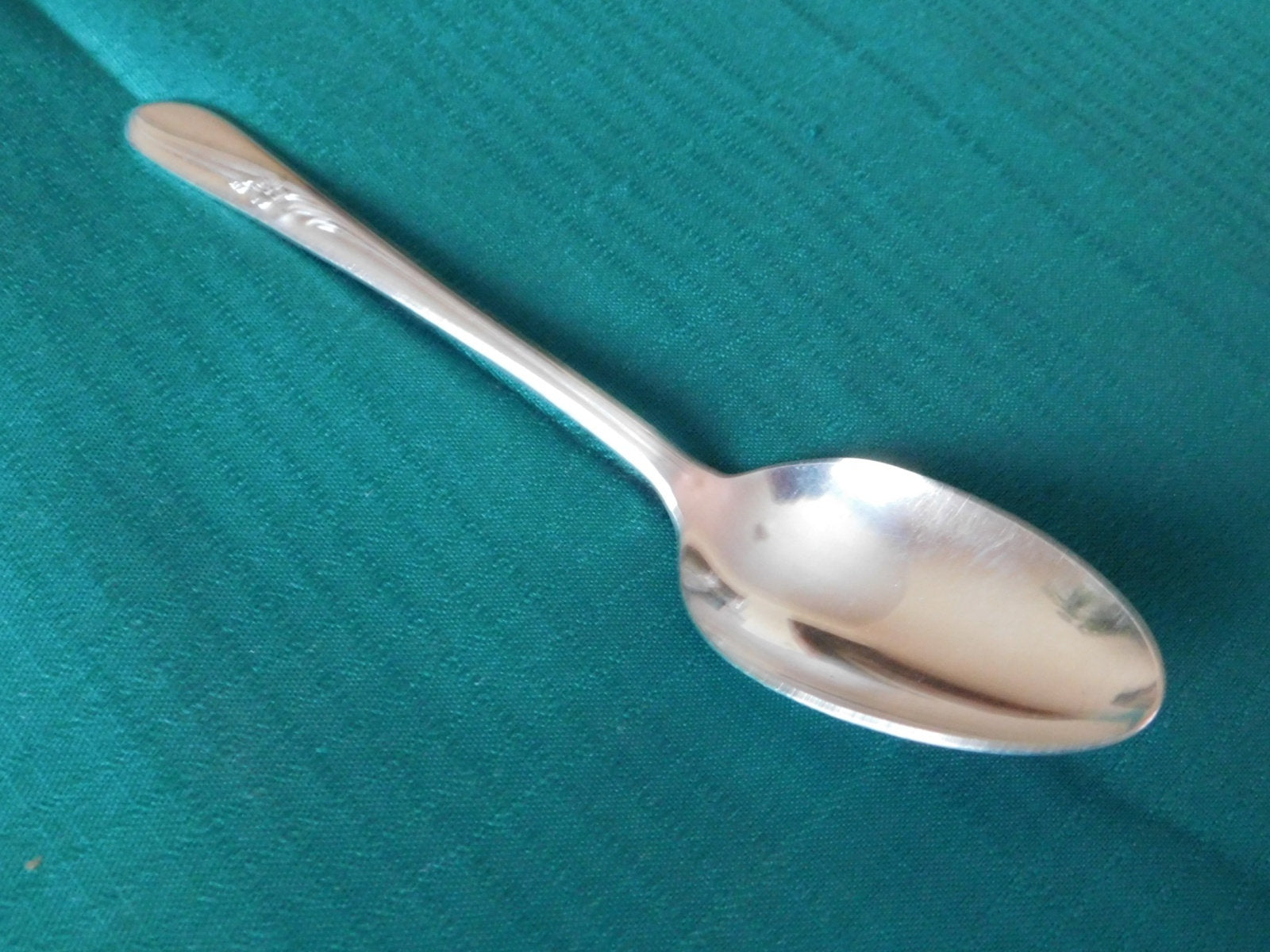 Wm. Rogers Mfg. Meadow Flower (1940) place oval soup spoon VGU - Items Tried And True