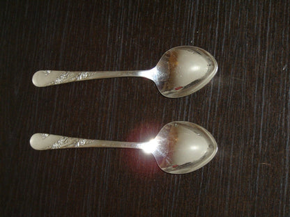 Pair of Tudor Plate Bridal Wreath (1950) Tablespoons (serving spoons) - Items Tried And True