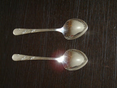 Pair of Tudor Plate Bridal Wreath (1950) Tablespoons (serving spoons)