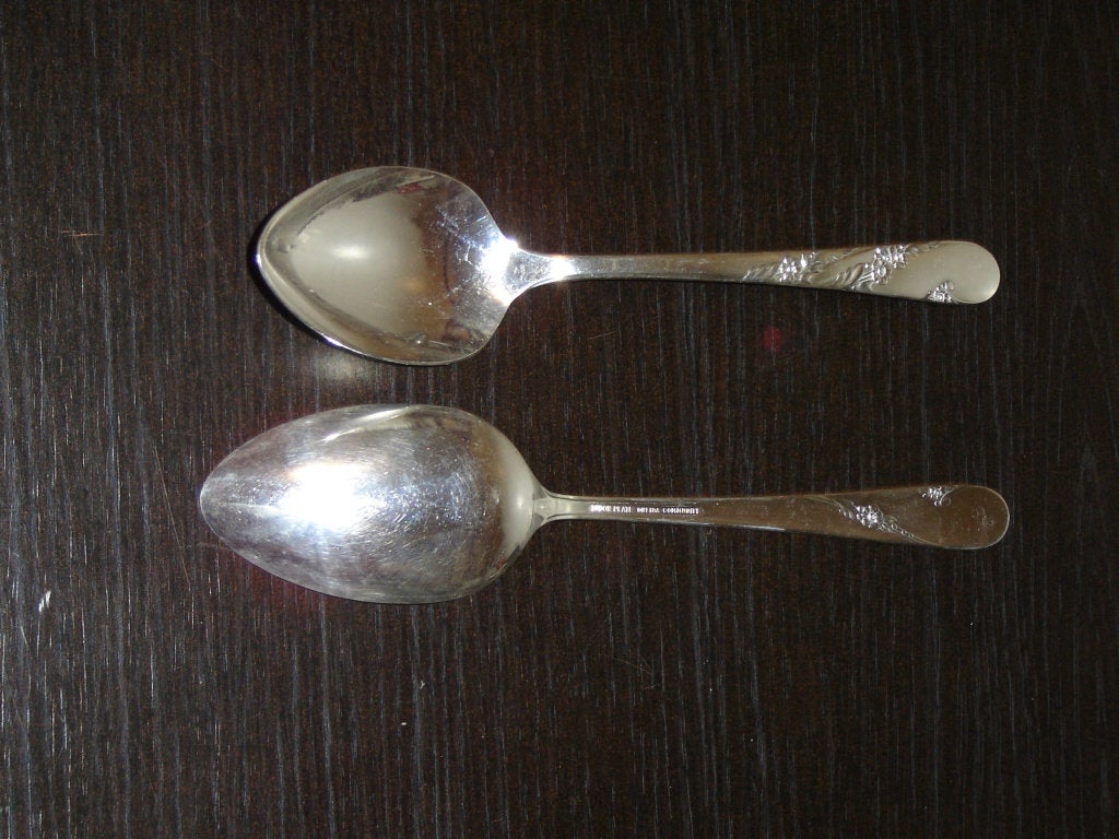 Pair of Tudor Plate Bridal Wreath (1950) Tablespoons (serving spoons) - Items Tried And True