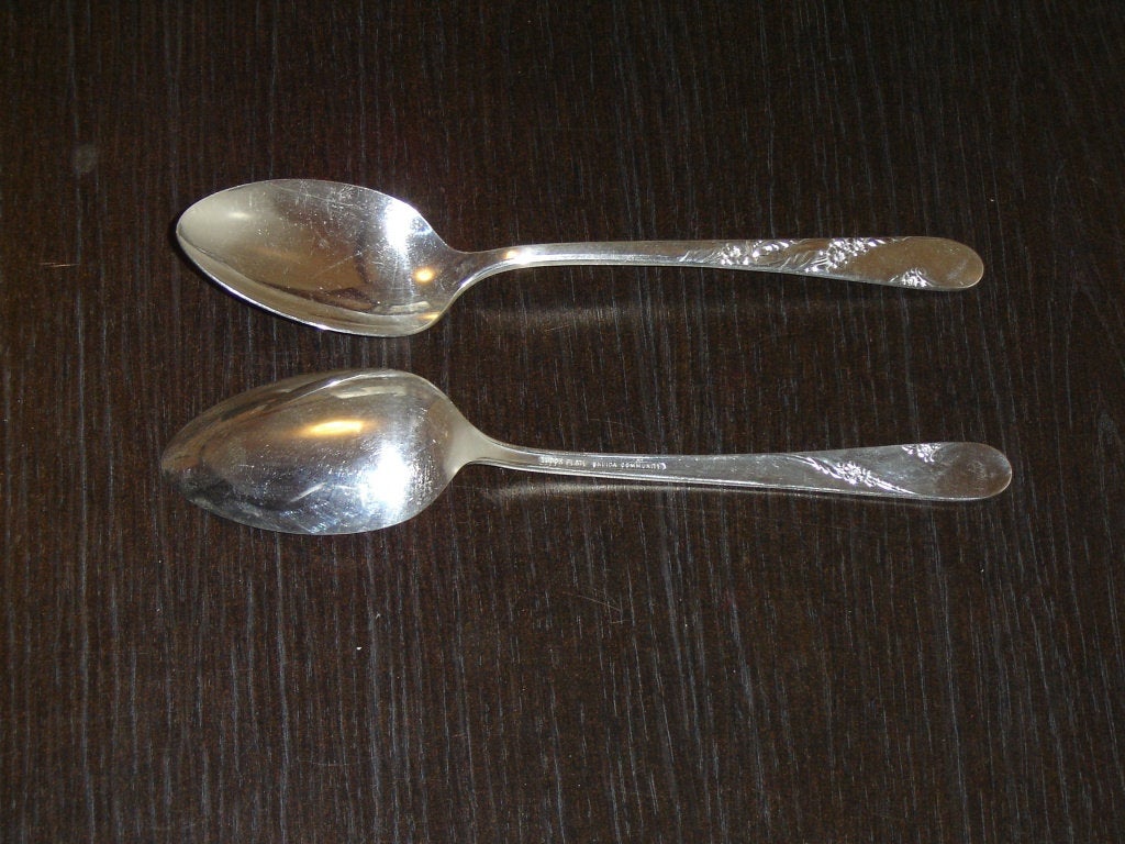 Pair of Tudor Plate Bridal Wreath (1950) Tablespoons (serving spoons) - Items Tried And True