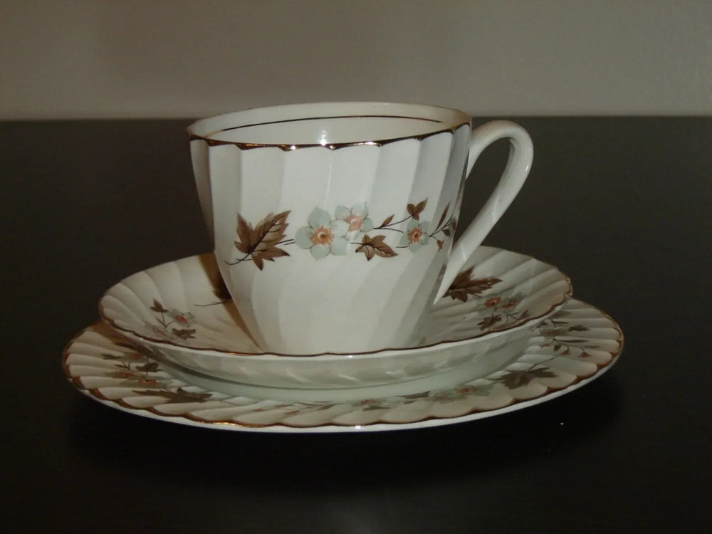 H. Aynsley 34 brown leaf flower snack set