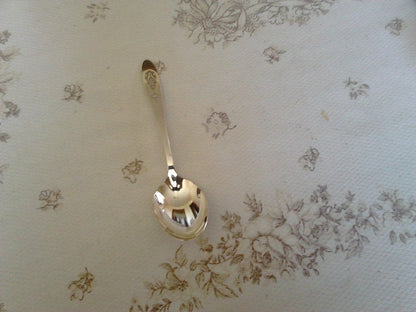 Community Plate Bird of Paradise (1923) sugar spoon VGU - Items Tried And True