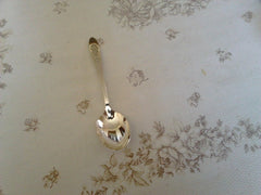 Community Plate Bird of Paradise (1923) sugar spoon VGU