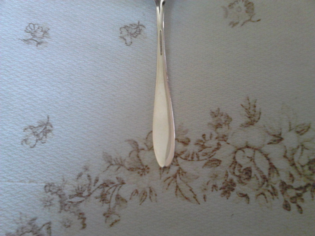 Community Plate Bird of Paradise (1923) sugar spoon VGU - Items Tried And True