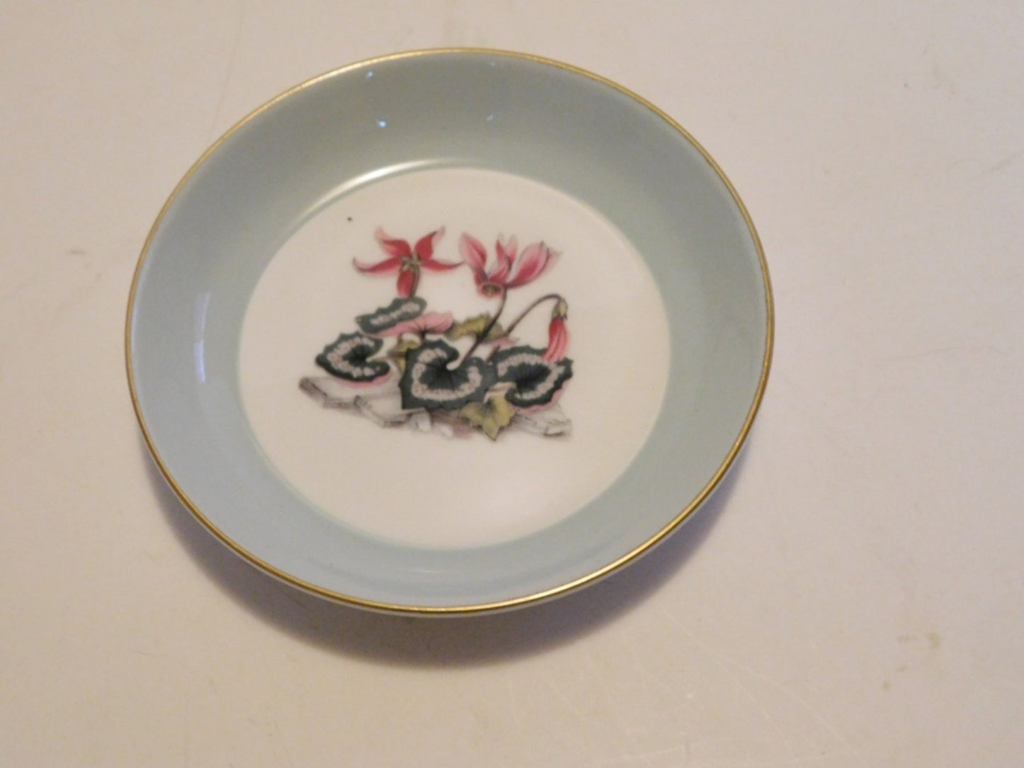 Royal Worcester Alpine Flowers gray band coaster NMC - Items Tried And True